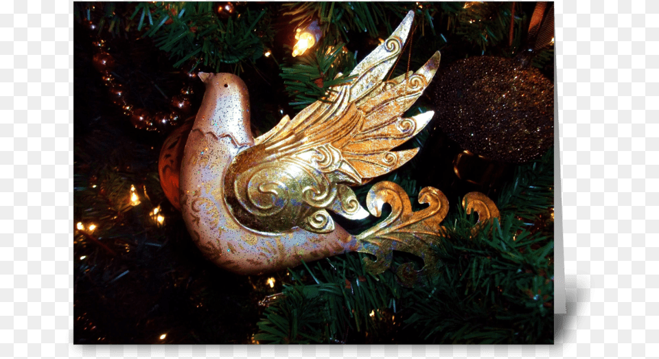 Peace Dove Greeting Card Dragon, Accessories, Plant, Tree, Fir Png Image