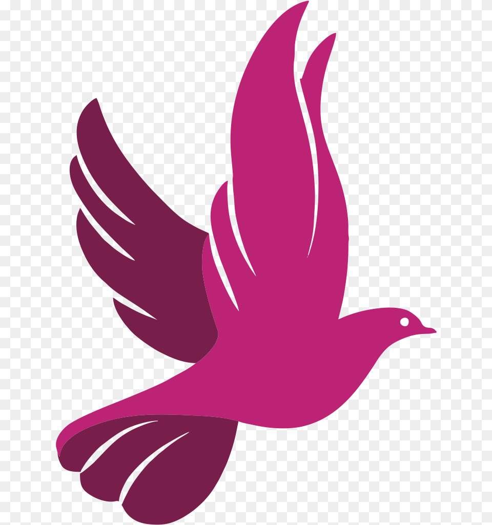 Peace Dove Logo White Dove Logo, Animal, Bird, Pigeon, Fish Free Png Download
