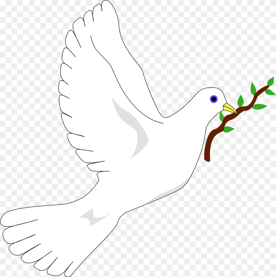 Peace Dove Noredblobs Clipart, Animal, Bird, Pigeon, Person Png Image