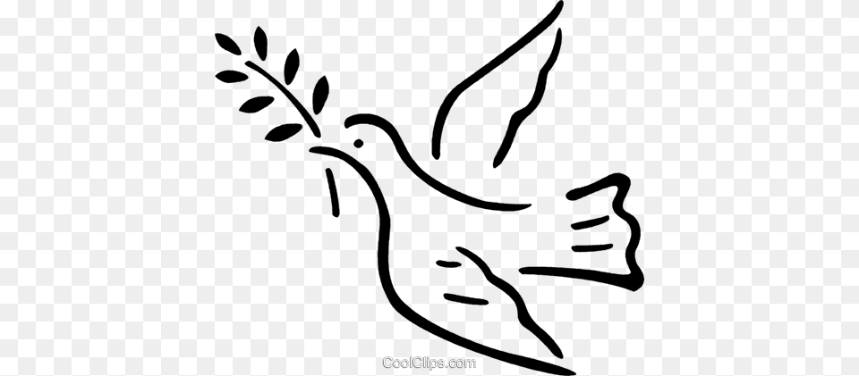 Peace Dove Royalty Vector Clip Art Illustration, Animal, Bird, Quail, Pigeon Free Png Download