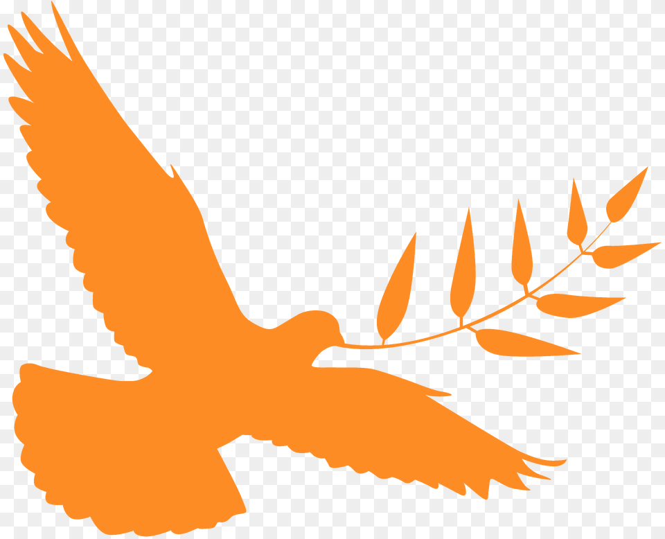 Peace Dove Silhouette, Animal, Baby, Bird, Person Free Png Download