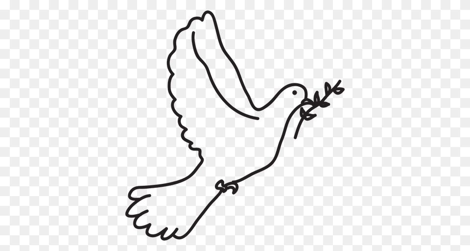 Peace Dove Symbol, Animal, Bird, Pigeon Free Png Download
