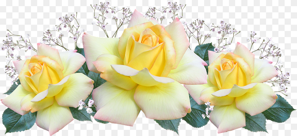 Peace Flowers Transparent, Flower, Flower Arrangement, Flower Bouquet, Plant Free Png