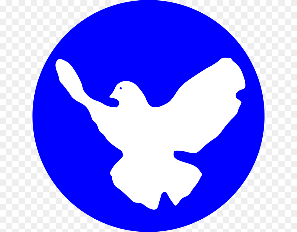 Peace Justice Center Peace Symbols Doves As Symbols, Baby, Person, Animal, Bird Free Png Download
