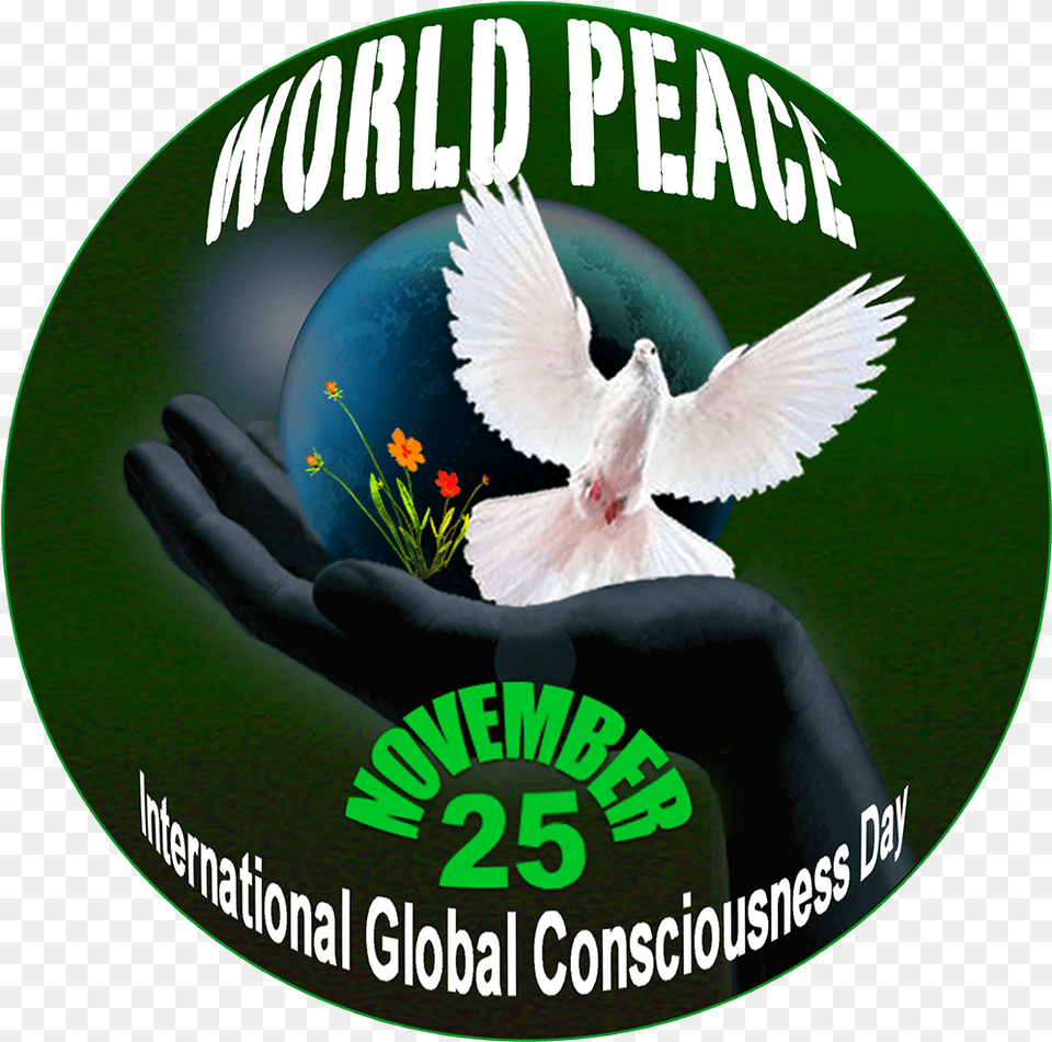 Peace Profiles World Peace, Animal, Bird, Advertisement, Pigeon Free Transparent Png