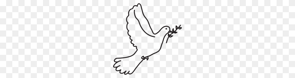Peace Sign Symbol, Animal, Beak, Bird Free Png