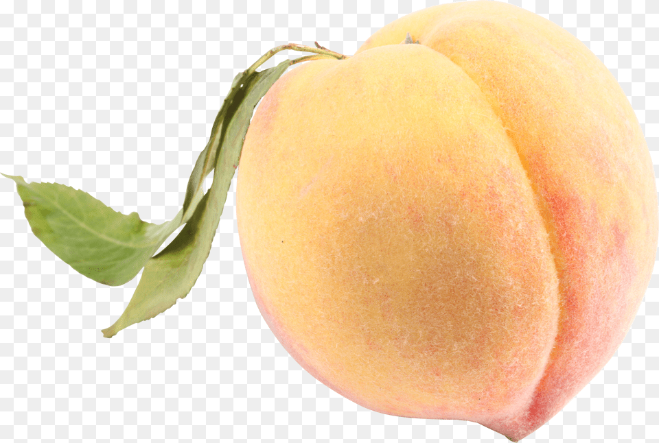Peach Png