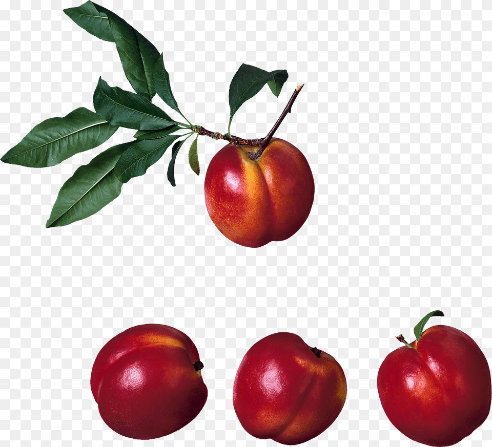 Peach, Food, Fruit, Plant, Produce Png