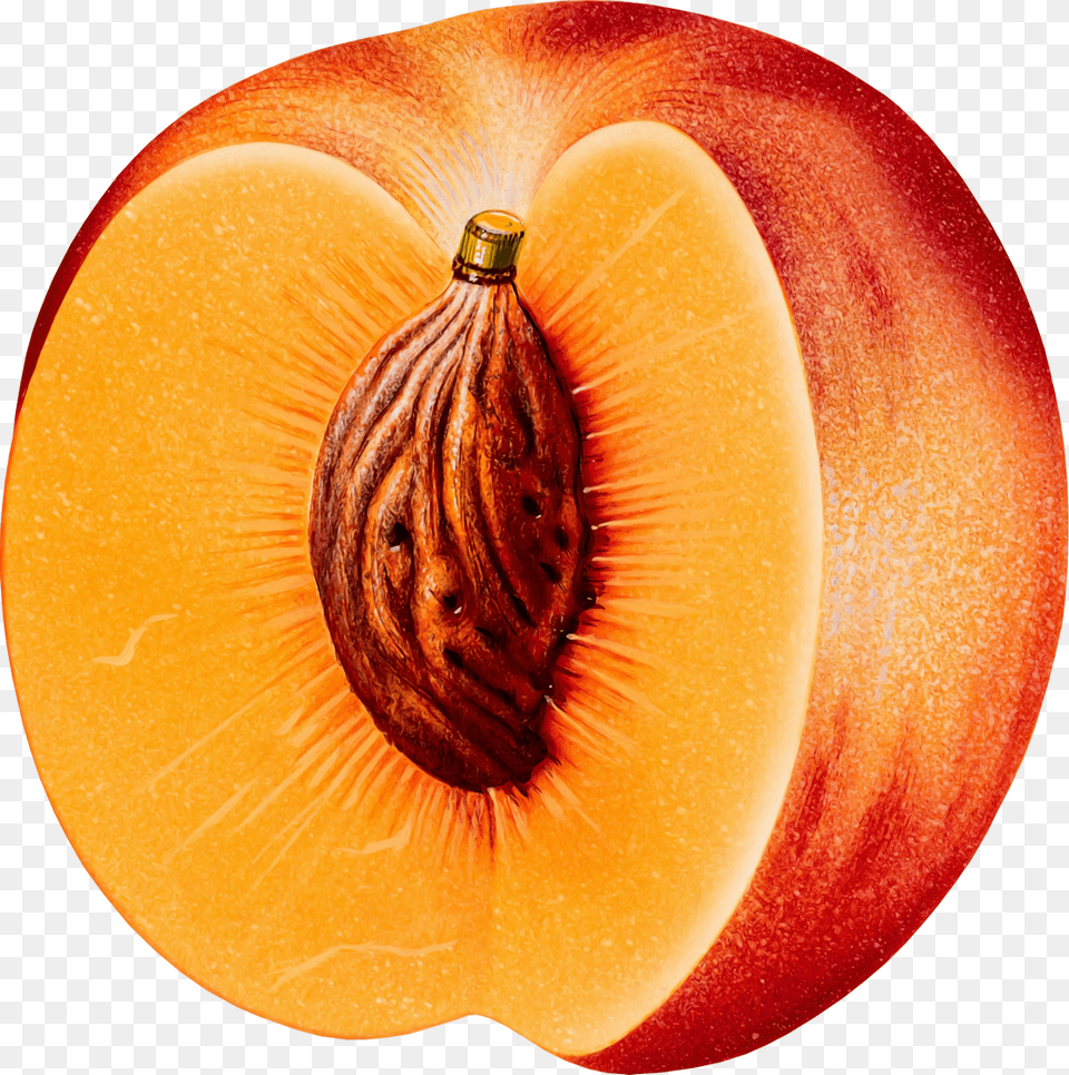 Peach, Food, Fruit, Plant, Produce Free Transparent Png
