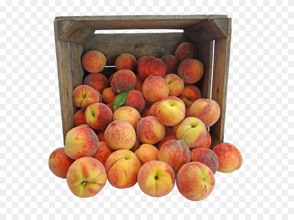 Peach Food, Fruit, Plant, Produce Free Transparent Png