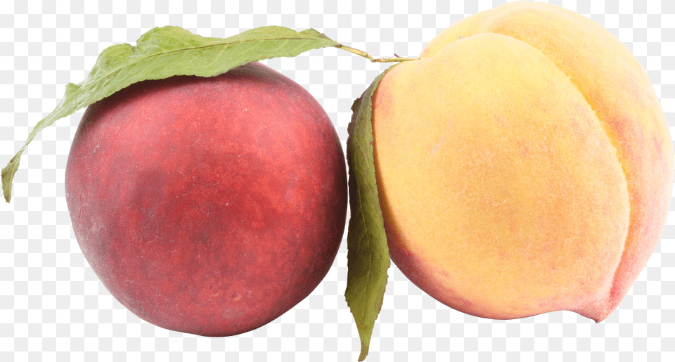 Peach, Food, Fruit, Plant, Produce Png Image