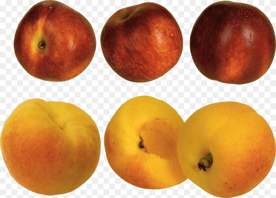 Peach Png