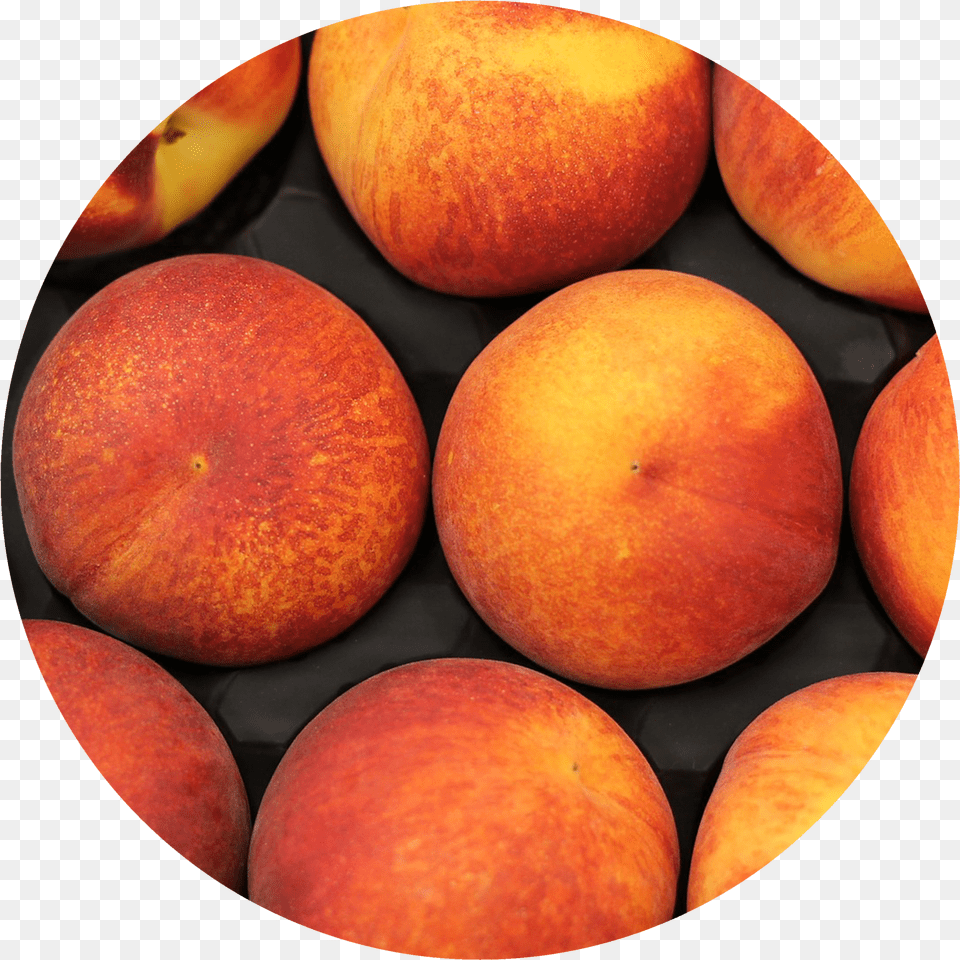 Peach Free Transparent Png