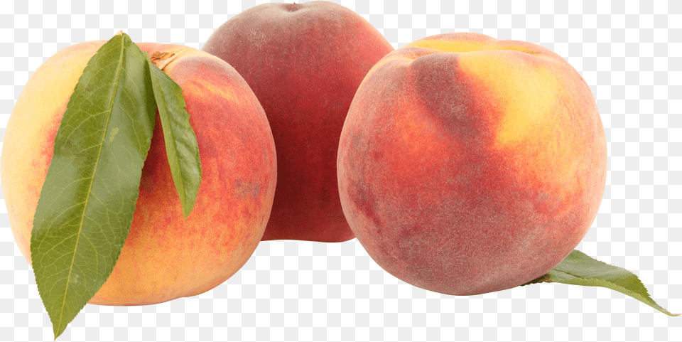 Peach Png Image