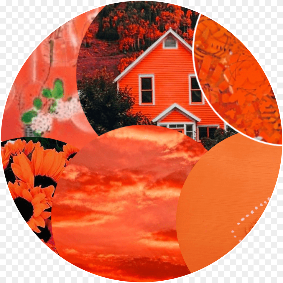 Peach Aesthetic Anime Icon Circle Peach Aesthetic Orange Aesthetic Circle Free Transparent Png