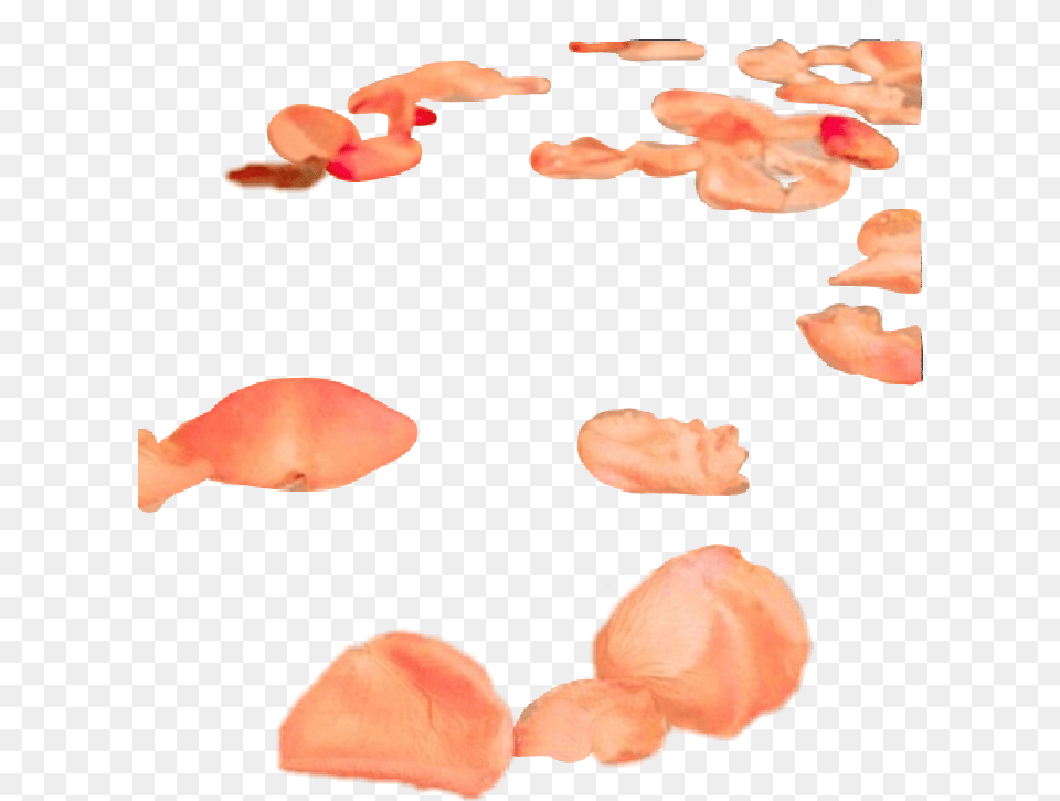 Peach Aesthetic Tumblr Leaves Fish, Flower, Petal, Plant, Baby Free Transparent Png