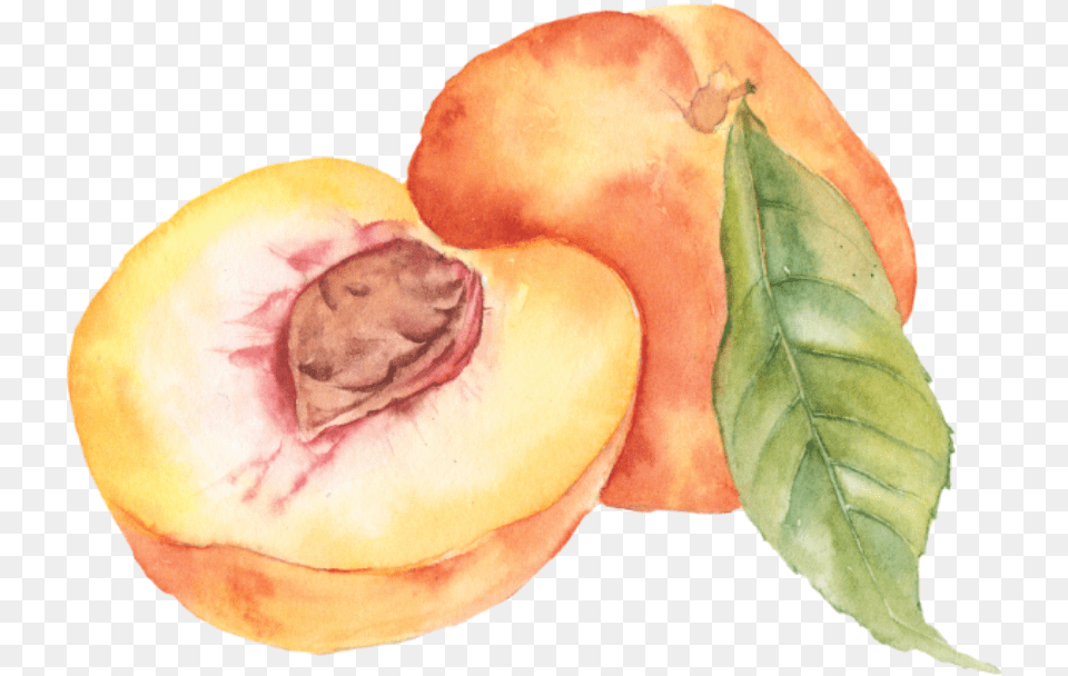 Peach Aesthetic Tumblr Soft Overlay Frame Watercolor Peaches Clip Art, Food, Fruit, Plant, Produce Free Transparent Png