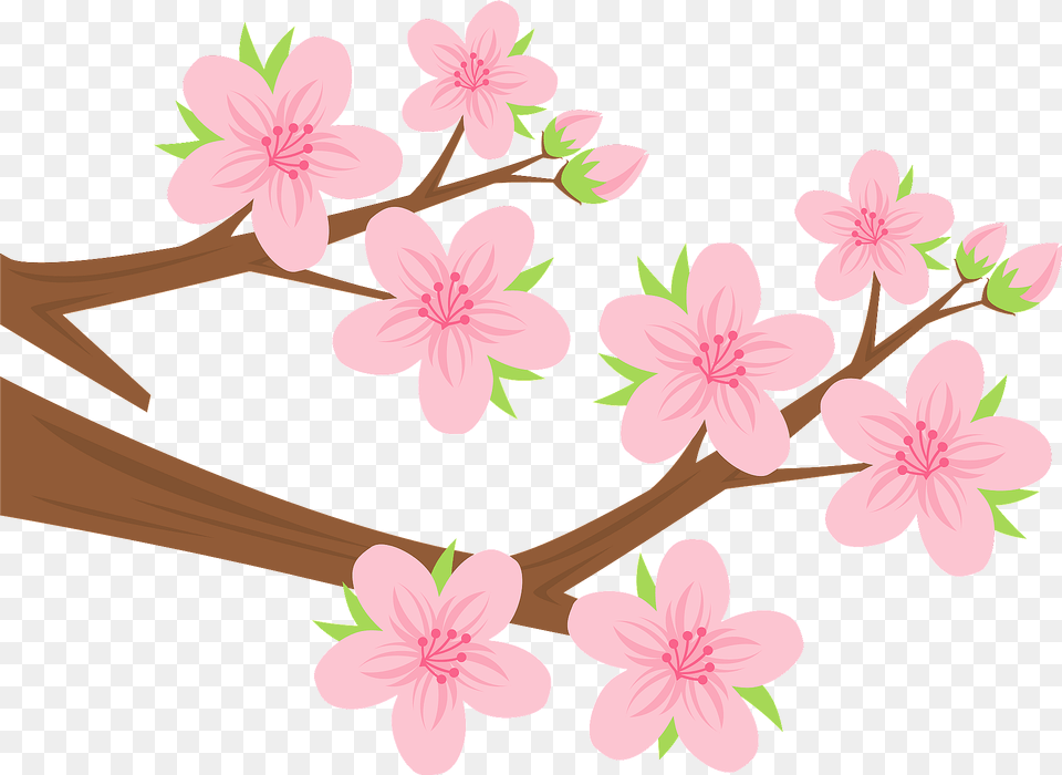 Peach Blossom Clipart, Flower, Plant, Cherry Blossom, Dynamite Free Transparent Png