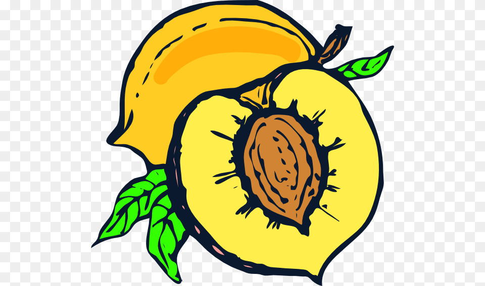 Peach Clip Art, Produce, Plant, Food, Fruit Png