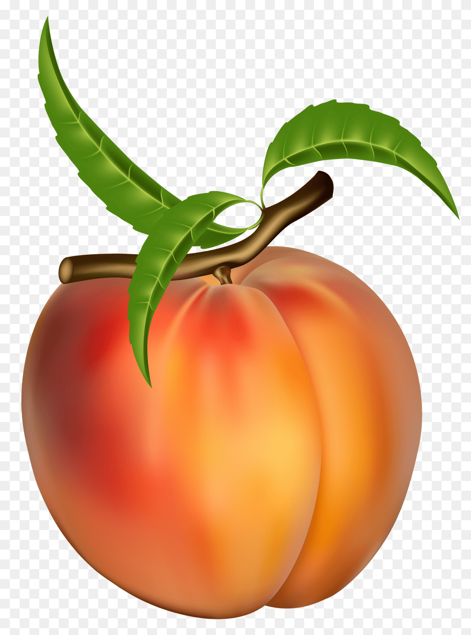 Peach Clip Art, Food, Fruit, Plant, Produce Free Png Download
