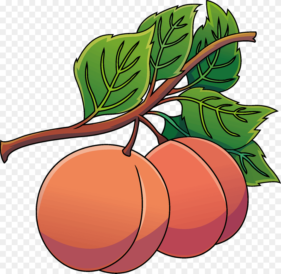 Peach Clipart, Food, Fruit, Plant, Produce Png