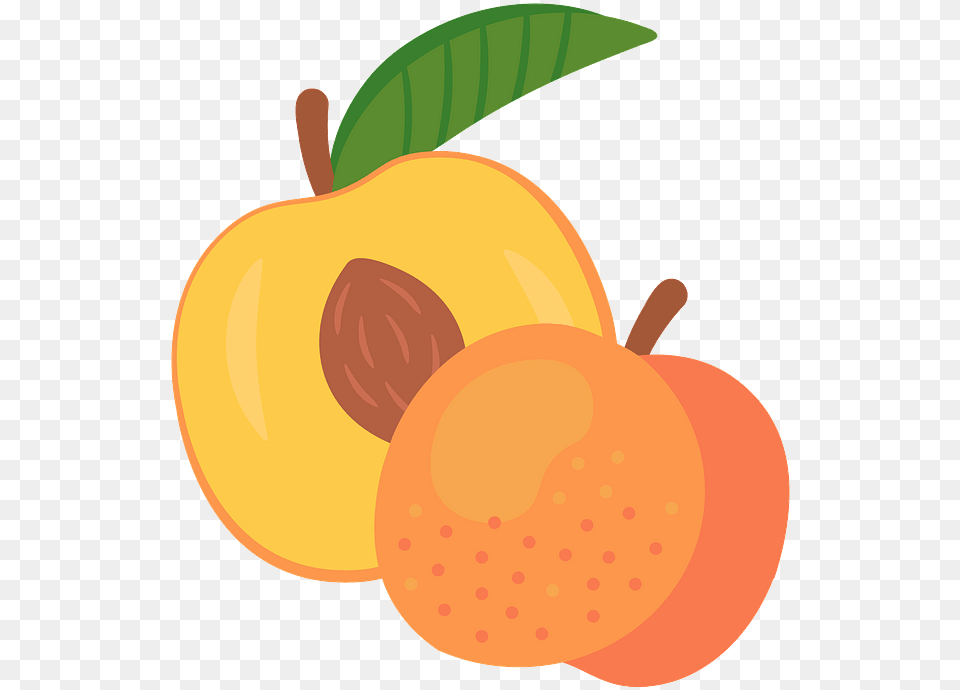 Peach Clipart, Food, Fruit, Plant, Produce Png Image