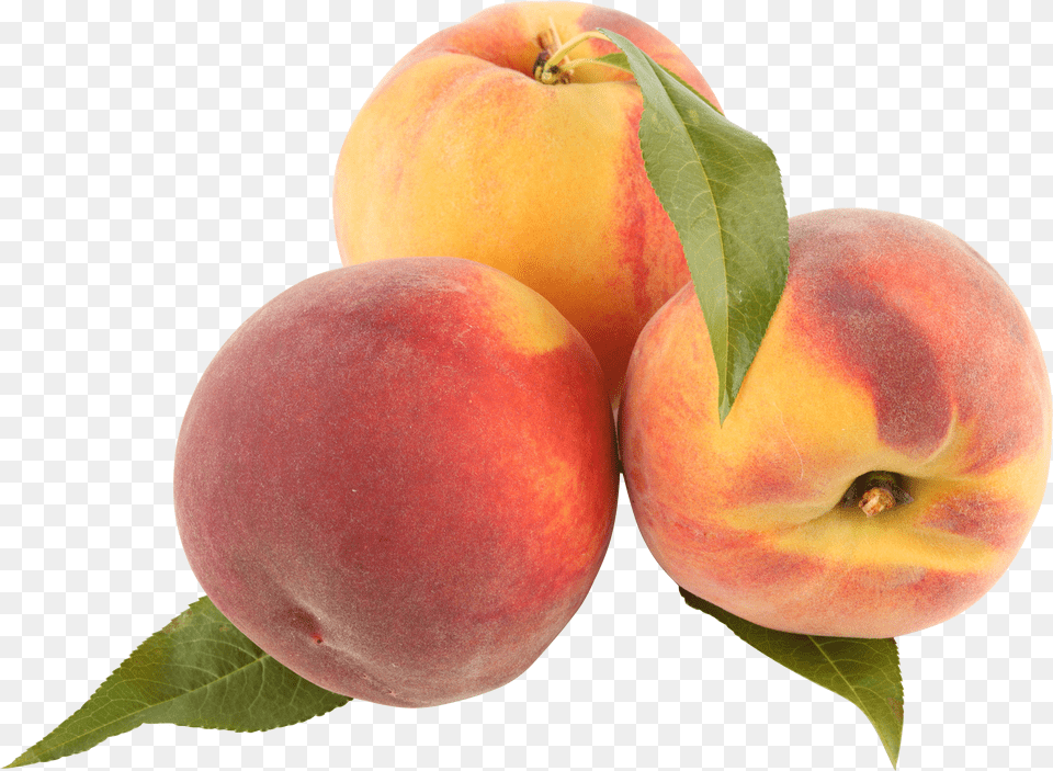 Peach Clipart Peaches Free Transparent Png