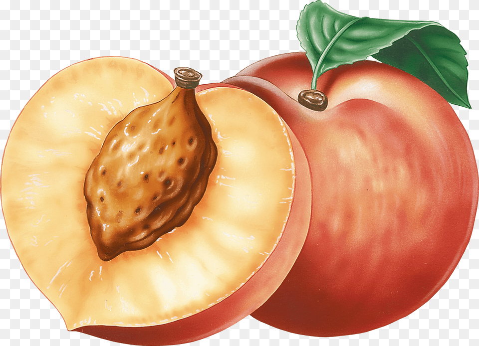 Peach Clipart, Food, Fruit, Plant, Produce Free Png