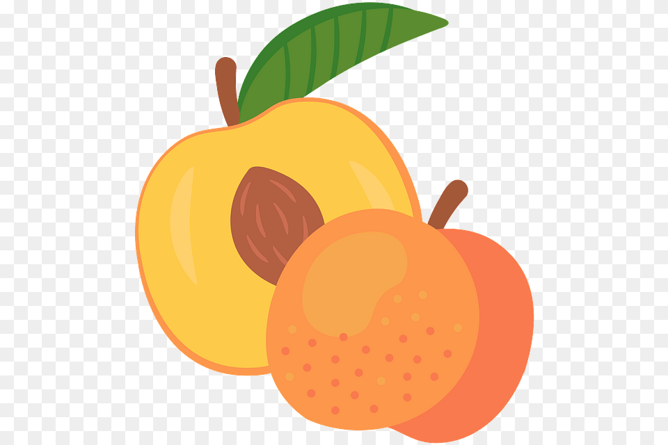 Peach Clipart, Food, Fruit, Plant, Produce Free Png Download