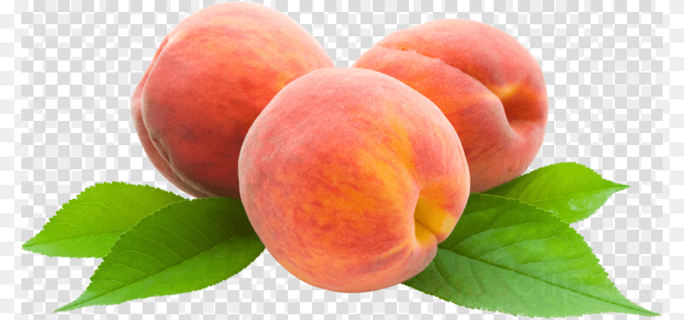 Peach Clipart, Food, Fruit, Plant, Produce Free Png Download