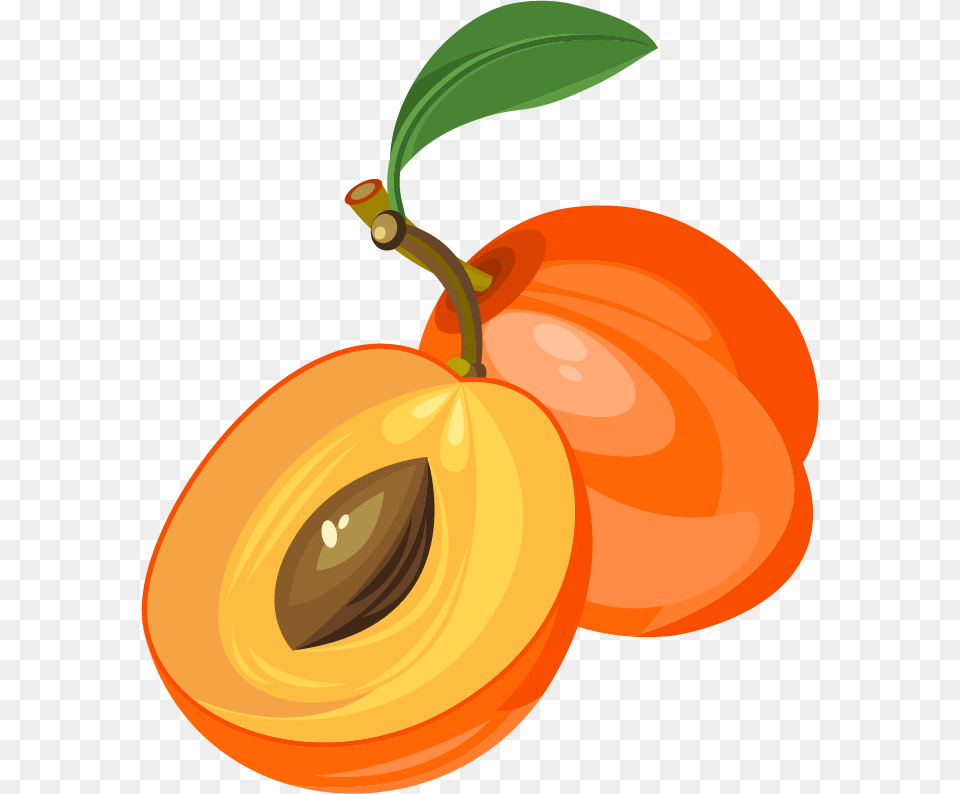 Peach Clipart Apricot Apricot Clipart, Food, Fruit, Plant, Produce Free Png