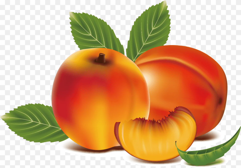 Peach Clipart Apricot Peach Fruit Clipart, Food, Plant, Produce, Candle Free Transparent Png