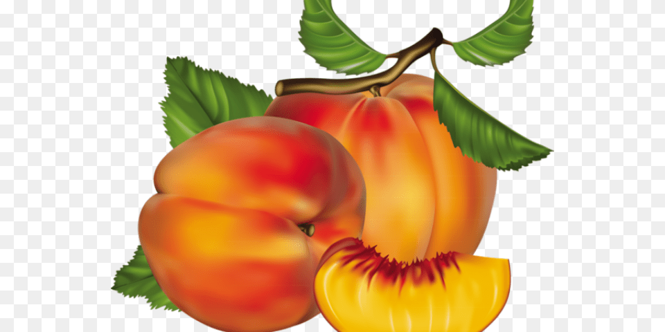 Peach Clipart Chico Peach Fruit, Food, Plant, Produce Free Png