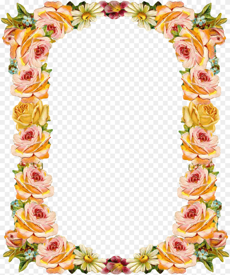 Peach Clipart Frame Harvest, Flower, Flower Arrangement, Plant, Graphics Png
