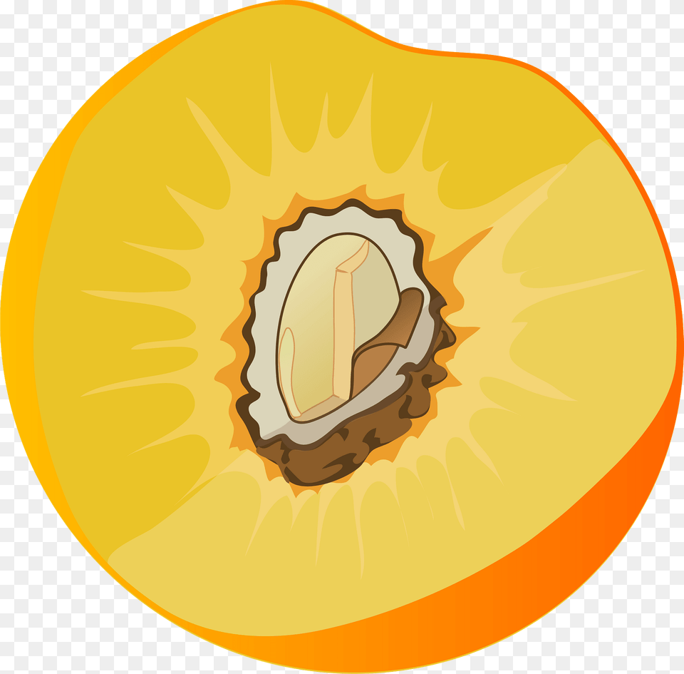 Peach Cross Section Clipart, Food, Fruit, Plant, Produce Png Image