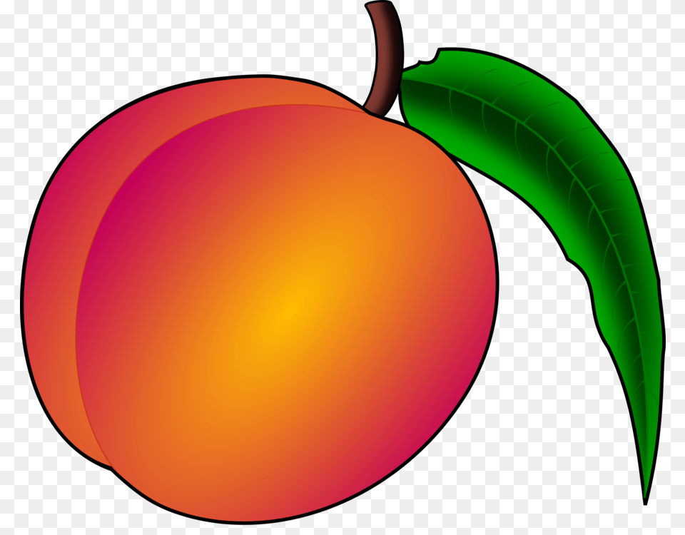 Peach Art Document Apricot, Food, Fruit, Plant, Produce Free Png Download