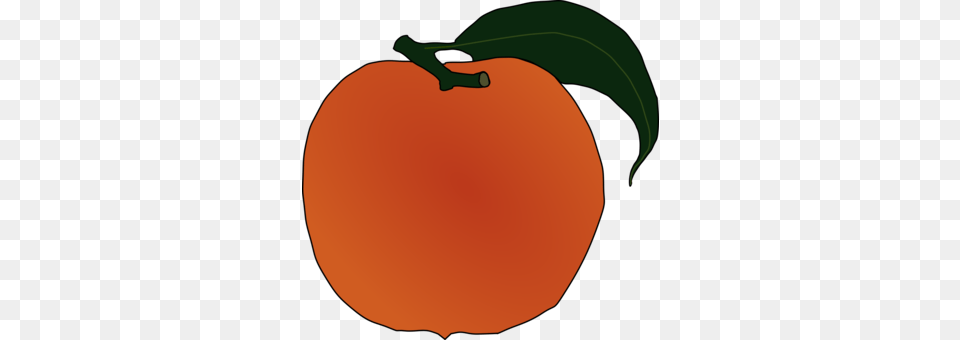 Peach Art Document Apricot, Food, Fruit, Plant, Produce Free Png Download