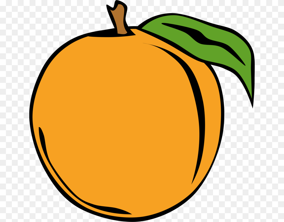 Peach Download Drawing Graphic Arts, Produce, Plant, Food, Fruit Free Transparent Png