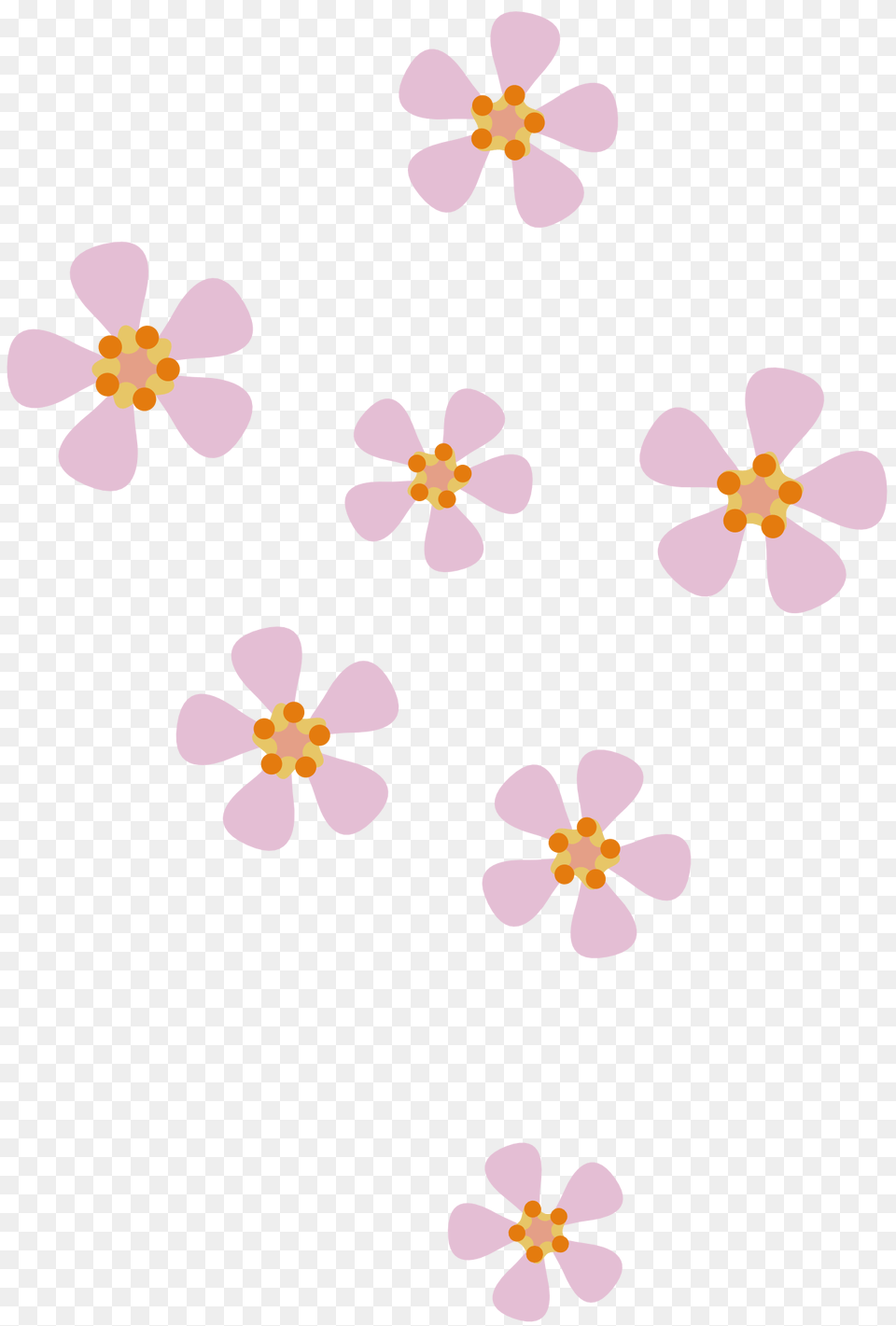 Peach Flower Clipart, Petal, Plant, Outdoors, Nature Free Png