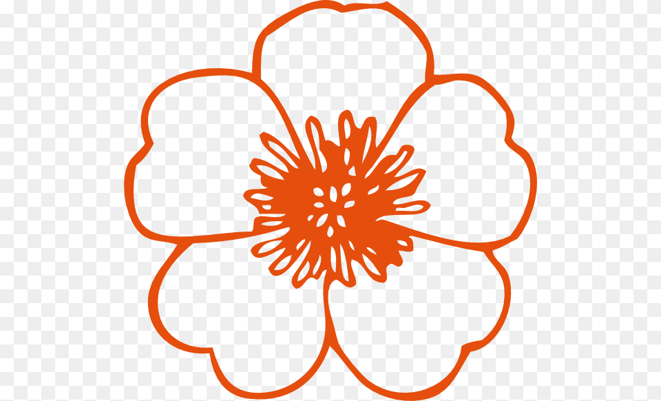 Peach Flower Clipart, Anemone, Anther, Dahlia, Petal Png Image