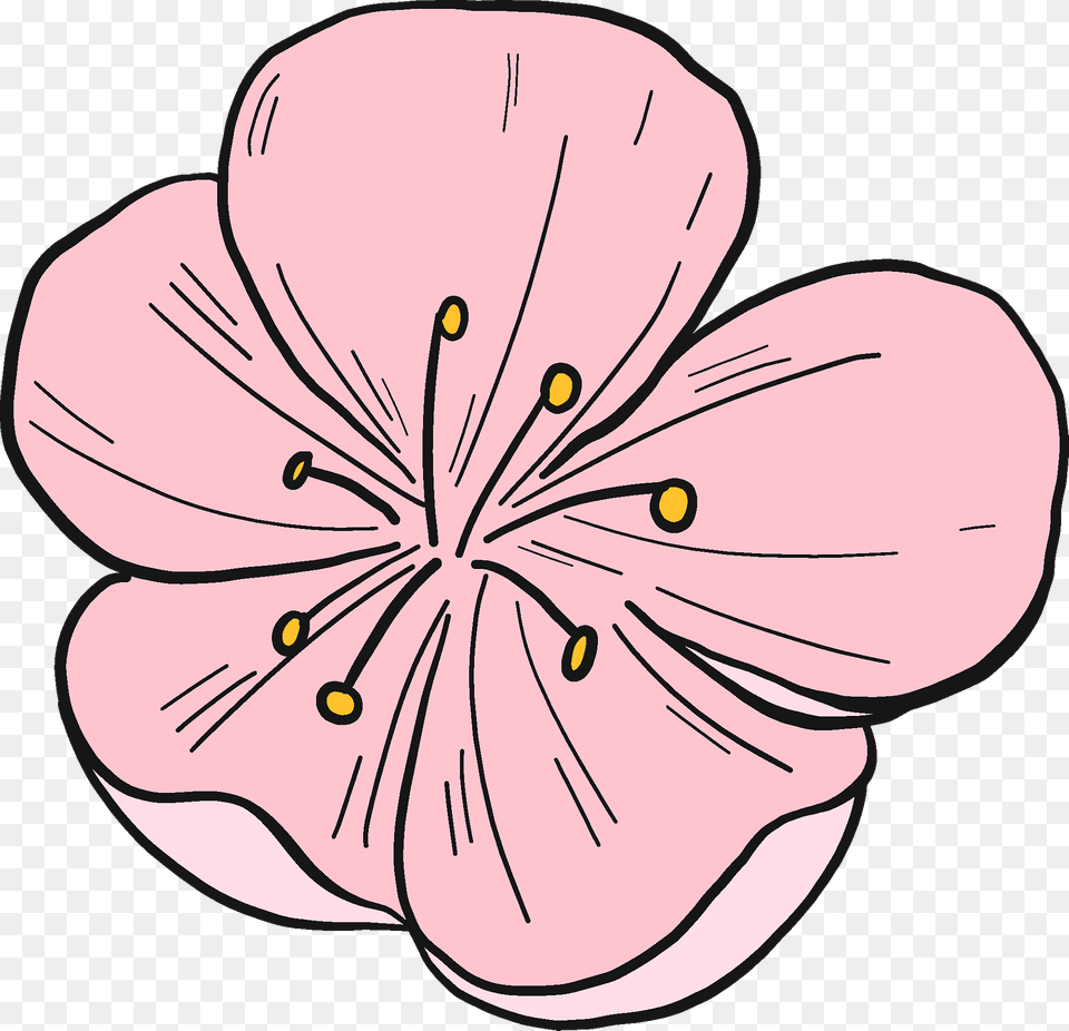 Peach Flower Clipart, Plant, Petal, Cherry Blossom, Person Free Png Download