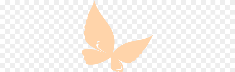 Peach Flower Clipart Butterfly, Leaf, Plant, Baby, Face Free Png