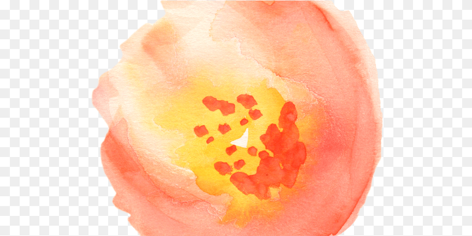 Peach Flower Clipart Flower Petal Watercolor Clipart, Plant, Pollen, Anther, Person Free Png