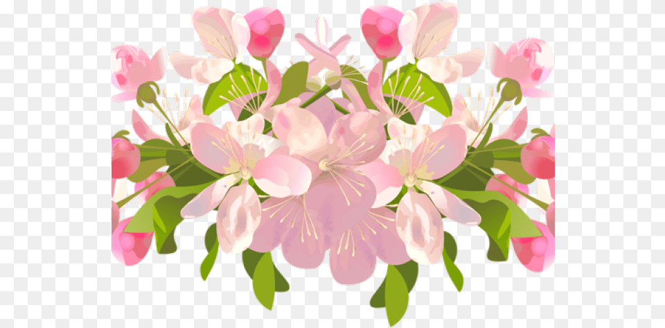 Peach Flower Clipart Transparent, Petal, Plant, Cherry Blossom Free Png