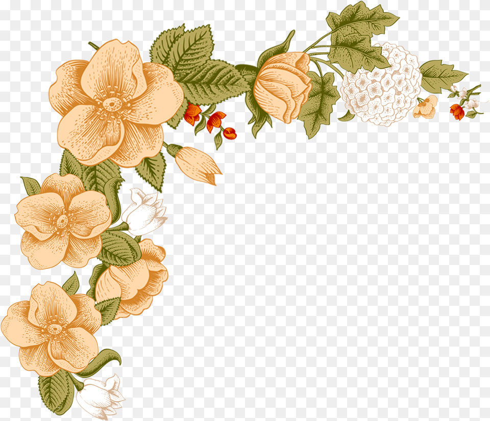 Peach Flowers Flower Floral Design Clip Art Flower Download Flower Frame, Floral Design, Graphics, Pattern, Plant Free Transparent Png