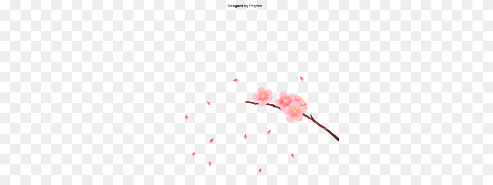 Peach Flowers Vectors And Download, Flower, Petal, Plant, Cherry Blossom Free Png