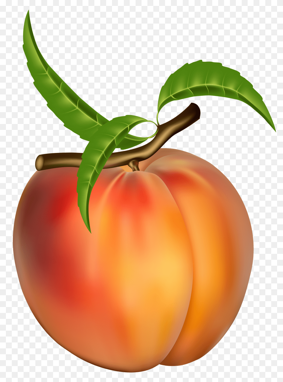 Peach Clipart Throughout Peach Clipart, Food, Fruit, Plant, Produce Free Png