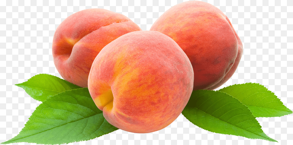 Peach Nectarines, Food, Fruit, Plant, Produce Free Png