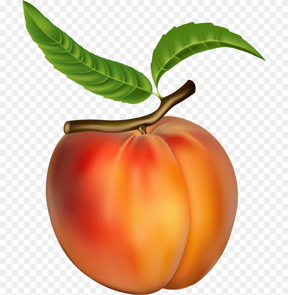 Peach Fruit, Food, Plant, Produce Free Png
