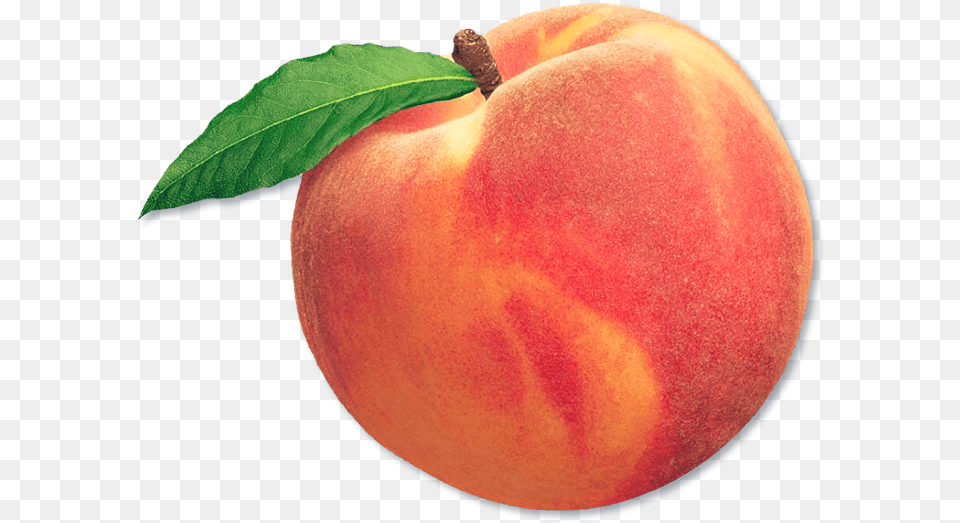 Peach Fruit Aesthetic Freetoedit Fruit Peach, Produce, Food, Plant, Outdoors Free Transparent Png